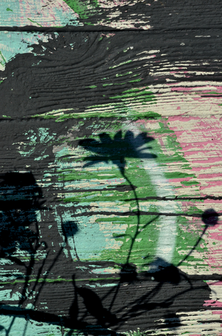 Foto (Nikon D50), bearbeidet i photoshop